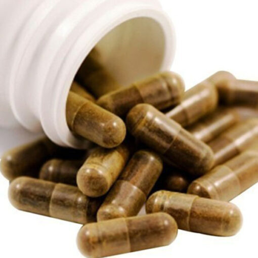 Buy Iboga Capsules Online